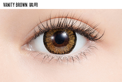 VANITY BROWN 装用